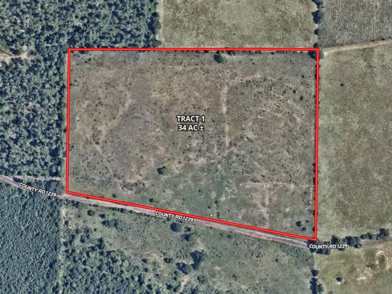 Pastureland for Sale in Cass County : Linden : Cass County : Texas