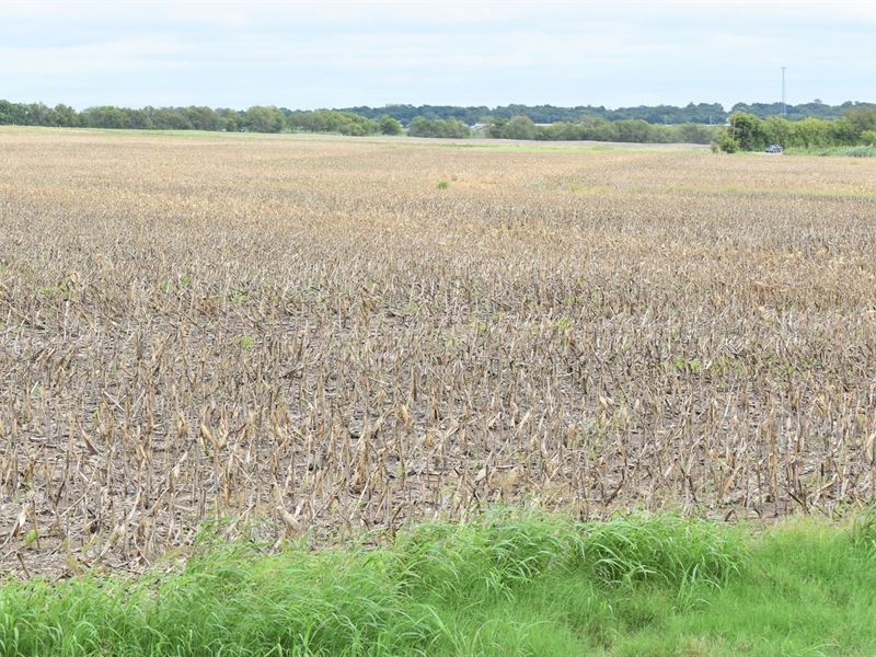 West, TX 11 + Ac of Land for Sale Land for Sale in West, McLennan