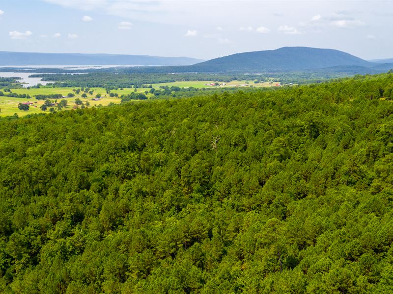 Lake View, Wooded with Utilities : Tuskahoma : Latimer County : Oklahoma