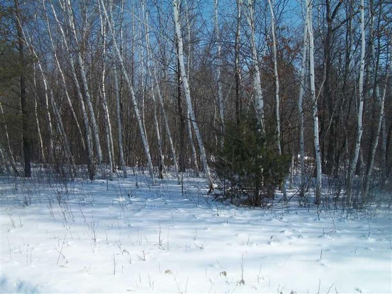 116.45 Acres, Stevens Point : Stevens Point : Portage County : Wisconsin