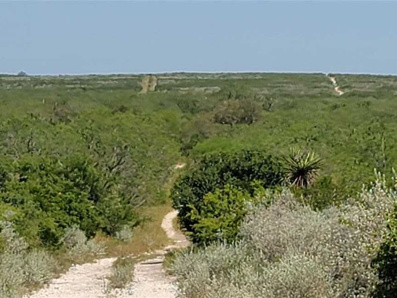 Chilipitin Ranch Creek, 352 Acres : San Diego : Duval County : Texas