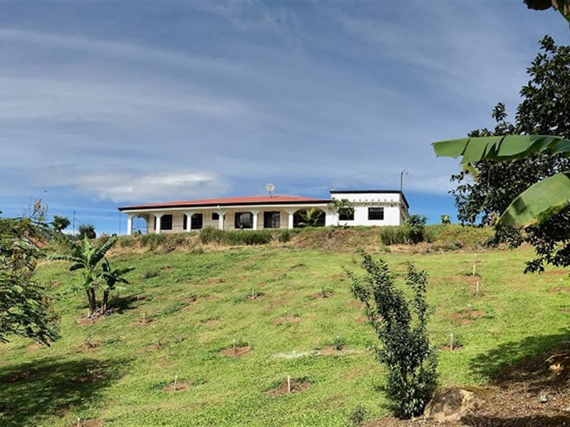 Home, 7.95 Ac, 2 Rentals, Workshop : Orosi : Costa Rica