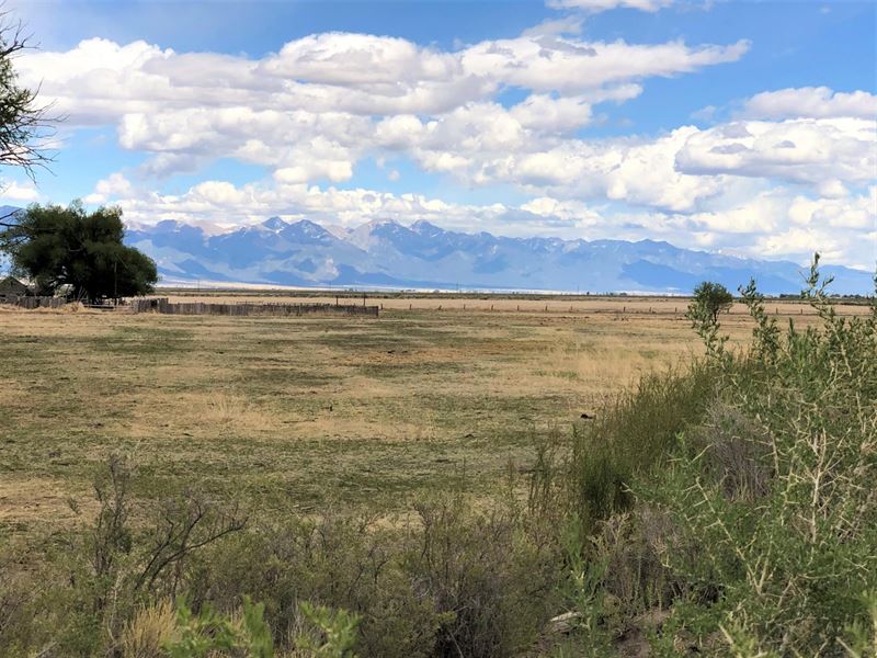 Saguache Irrigated Farm Land for Sale in Saguache, Saguache County