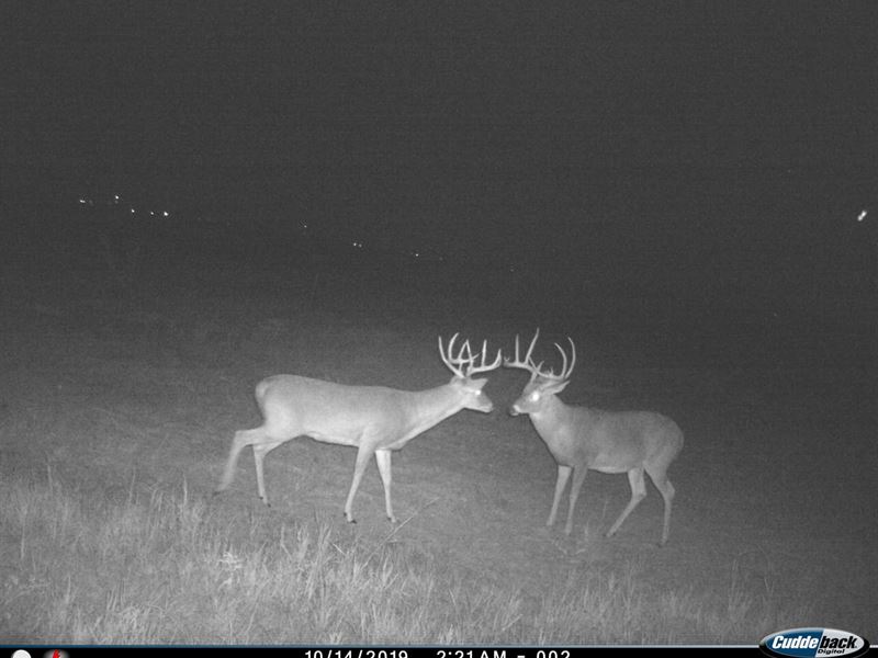 RS , 101 Acres FM 367, Elect : Electra : Wichita County : Texas