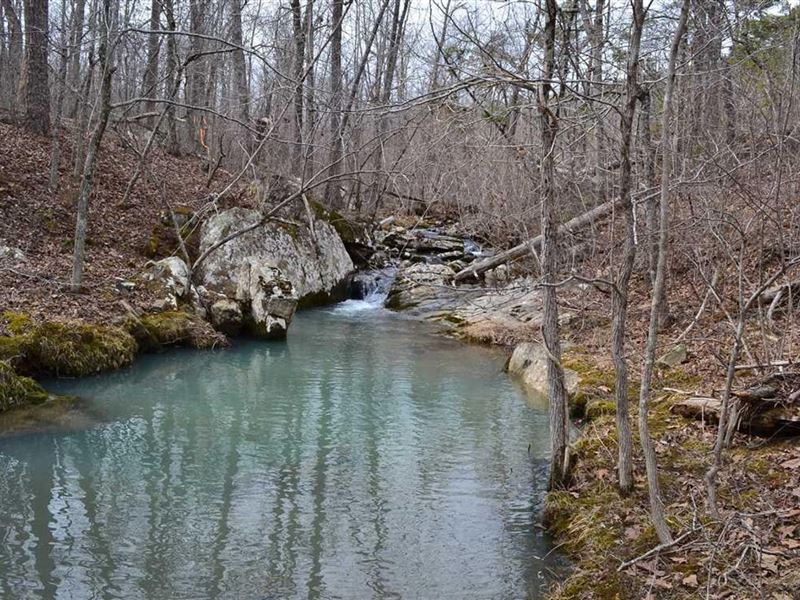 240 Acres with Beautiful Creek : Marshall : Searcy County : Arkansas