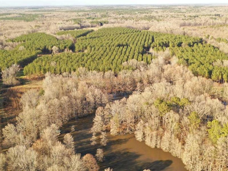 321 Acres of Monroe County, MS Hunt : Aberdeen : Monroe County : Mississippi
