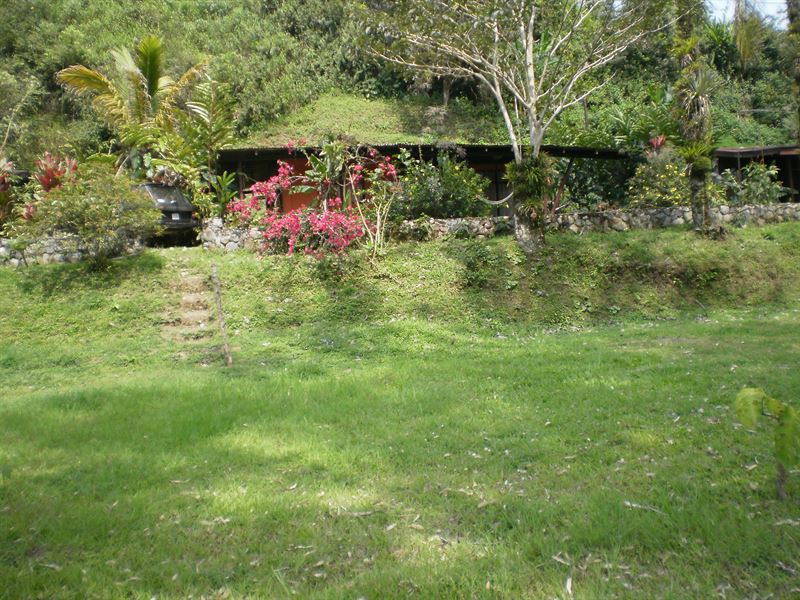 Riverfront Resort, Restaurant : Palomo De Orosi : Costa Rica