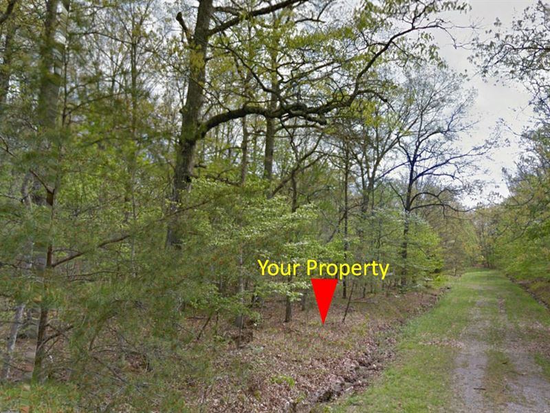 .24 Ac in Lake & Fishing Community : Crossville : Cumberland County : Tennessee