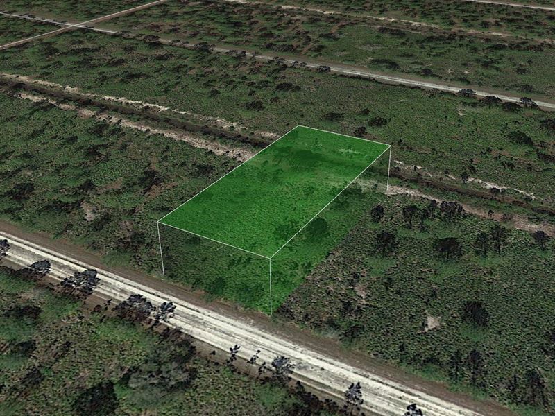 1/2 Acre for Less Than a Golf Cart : Indian Lake Estates : Polk County : Florida