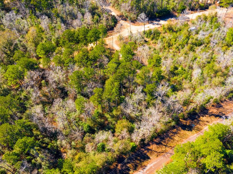 8712 Sqft Cleared RV Lot, Utilities : Woodville : Tyler County : Texas