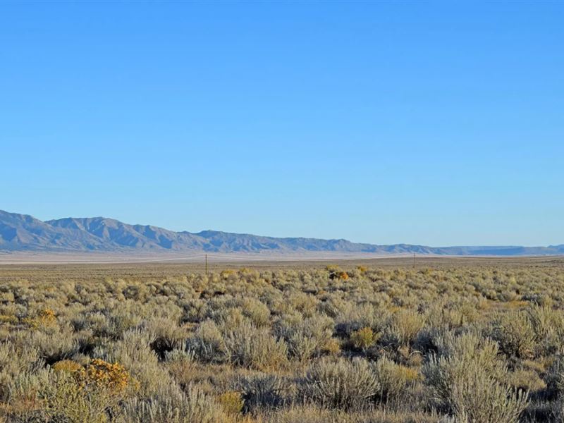 2 Lots 0.50 Acre in Los Lunas : Los Lunas : Valencia County : New Mexico