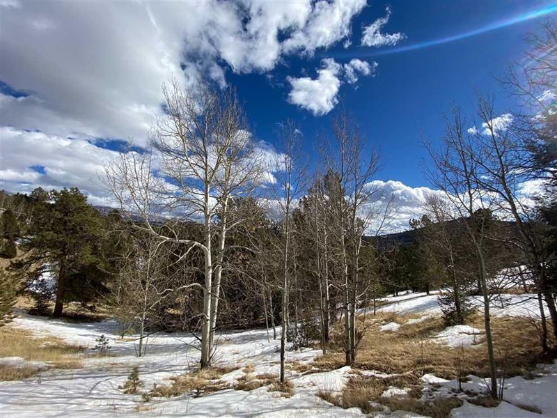 Cripple Creek Mountain Estates : Cripple Creek : Teller County : Colorado