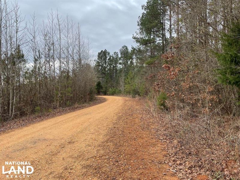 Scott Bottom Homesite, Hunting : Marion : Perry County : Alabama