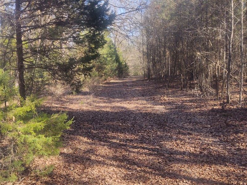 Rural Land, Recreational : Douglassville : Cass County : Texas