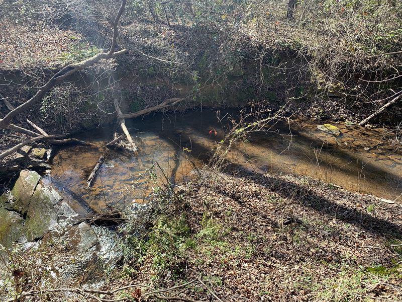 Wooded with Creek : Inman : Spartanburg County : South Carolina