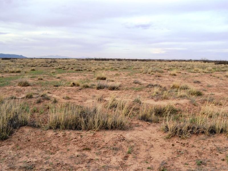 .50 Acres in Sunshine Valley : Los Lunas : Valencia County : New Mexico