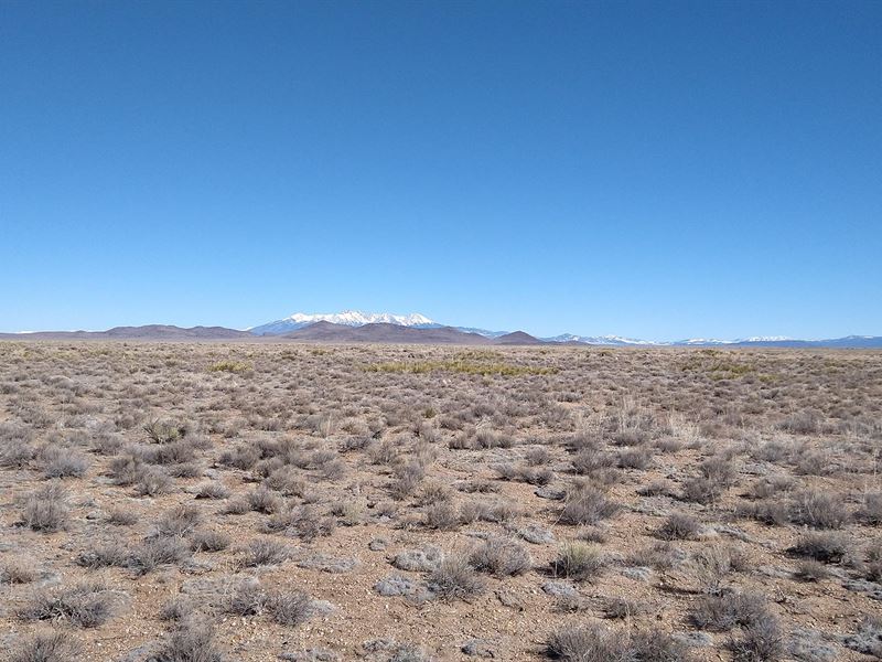 5 Rugged Acres of Mountain Beauty : San Luis : Costilla County : Colorado