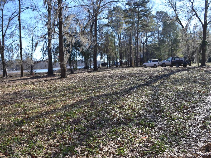 Henderson Road River Lot Properties : Lowndesboro : Lowndes County : Alabama