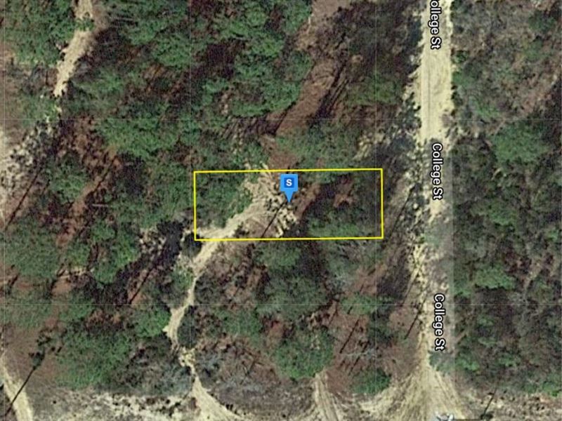 .10 Acres in Putnam County : Putnam : Putnam County : Florida