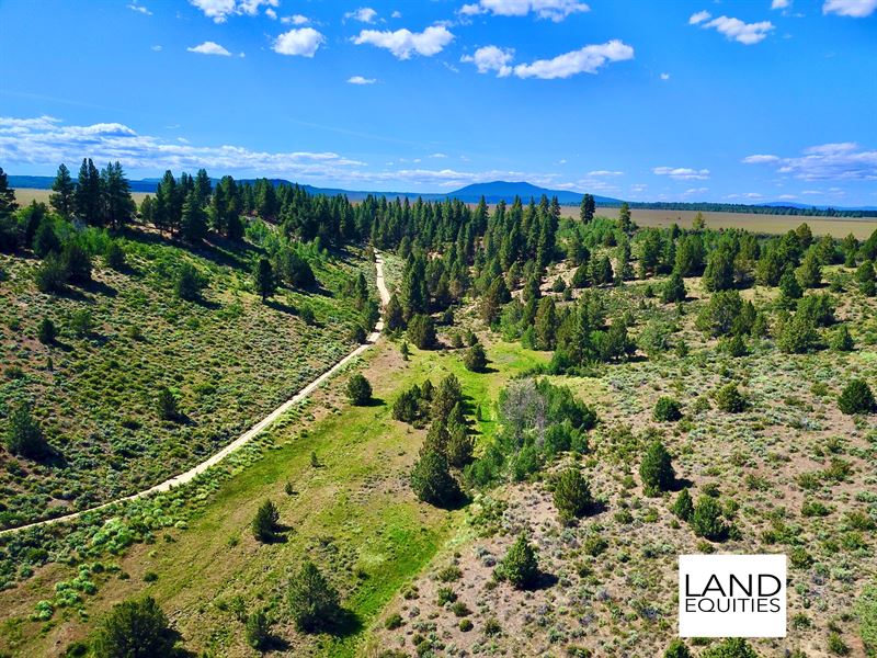 Amazing Sprague River Valley Views Land for Sale by Owner in Sprague