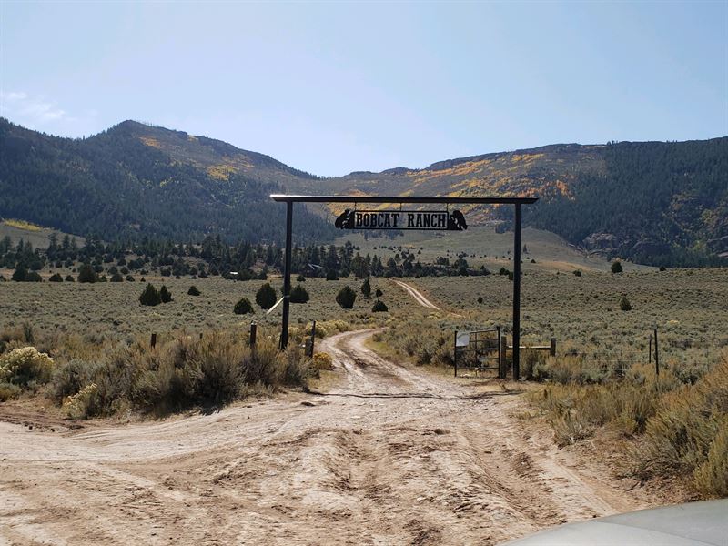 Bobcat Ranch : Dinosaur : Moffat County : Colorado