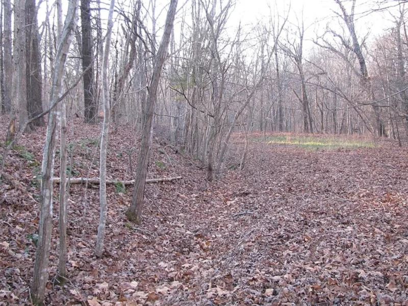 .30 Acre in Bella Vista Land for Sale by Owner in Bella Vista, Benton