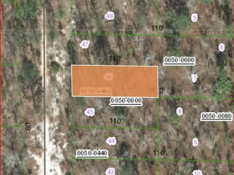 .20 Acres in Putnam County : Hawthorne : Putnam County : Florida