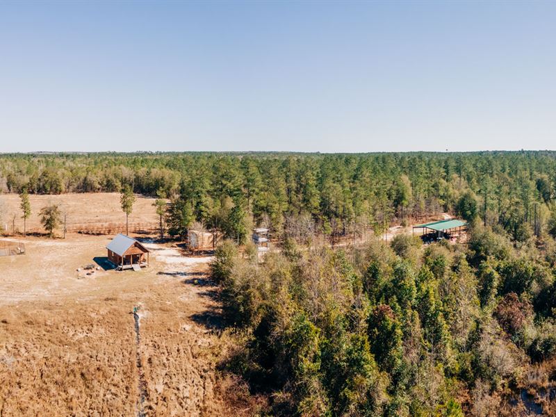 Yam Grandy Retreat Land for Sale in Oak Park, Emanuel County,