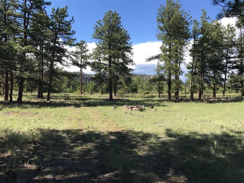 Doe Valley : Guffey : Park County : Colorado