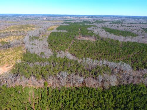Land For Sale In Taylor County Ga