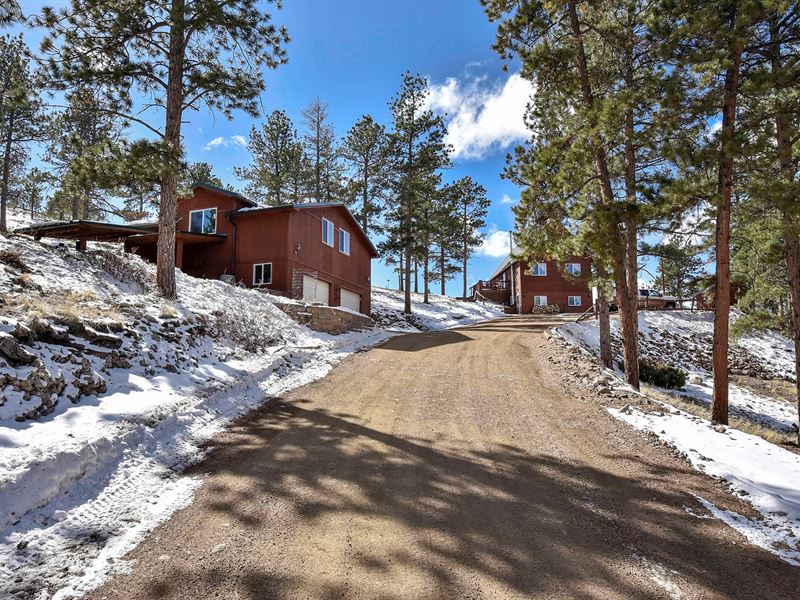 Colorado Mountain Home 30 Acres : Guffey : Park County : Colorado