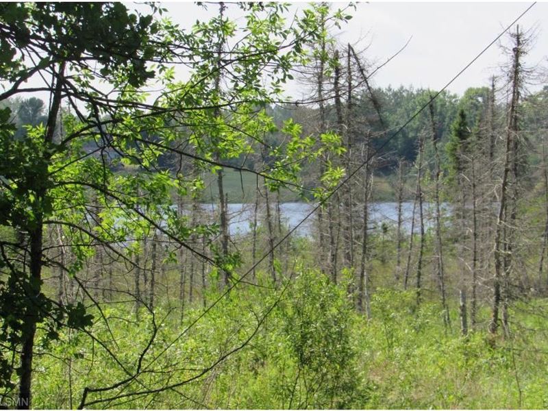 Lakefront Lot Moose Lake, Minnesota : Moose Lake : Carlton County : Minnesota