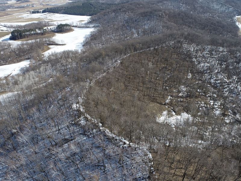 20 Acres Buffalo County, WI : Alma : Buffalo County : Wisconsin