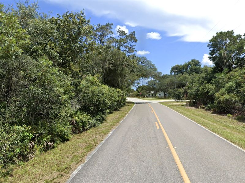 Peaceful Agricultural Zoned Land : Deleon Springs : Volusia County : Florida