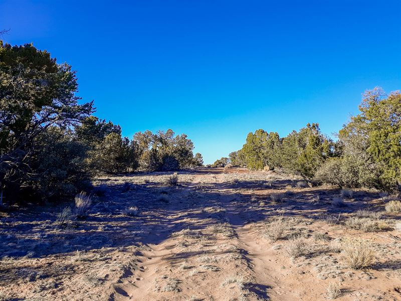 Witch Well Ranches in Apache : Near St Johns : Apache County : Arizona