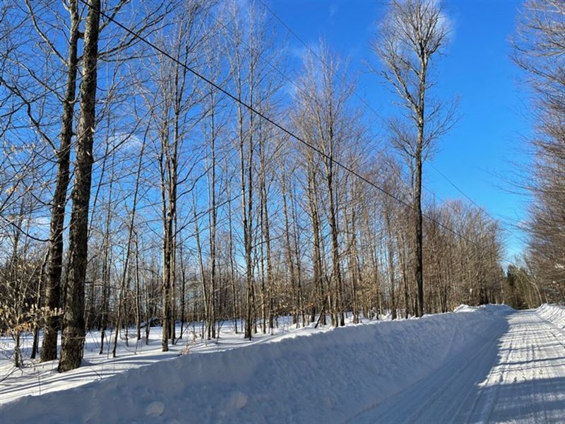 Deer Trail Camp Site : Diana : Lewis County : New York