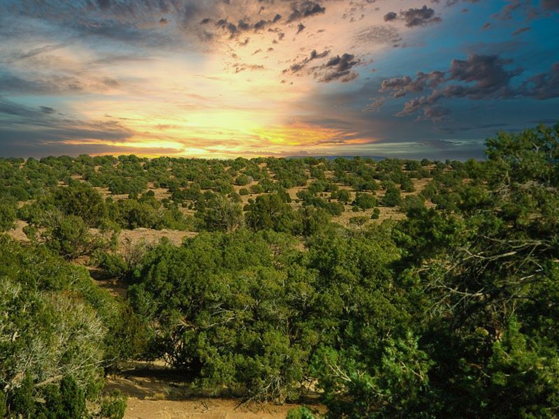 Arizona Wilderness Ranches : Saint Johns : Apache County : Arizona
