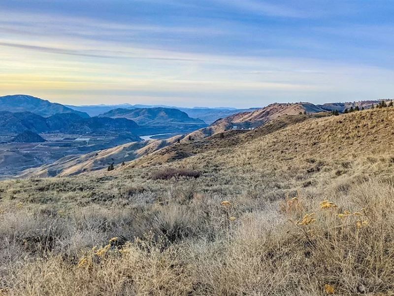 Gorgeous 6.4 Acres in Chelan Spring : Orondo : Chelan County : Washington