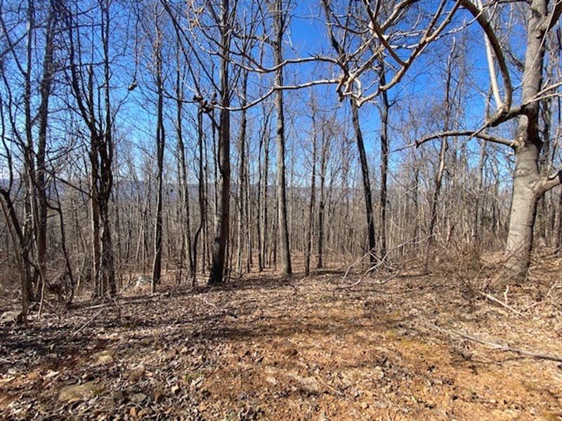 200+/- Acres Hunting Land, Cabin : Whitwell : Marion County : Tennessee