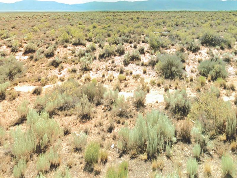 De-Stress Live Life to The Fullest : Belen : Valencia County : New Mexico