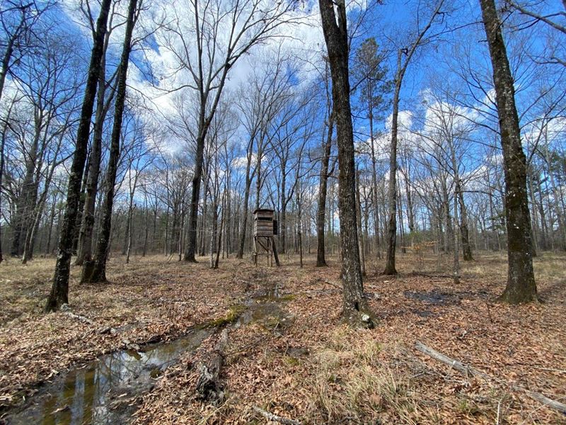 Pine Level Recreational Tract : Ramer : Montgomery County : Alabama