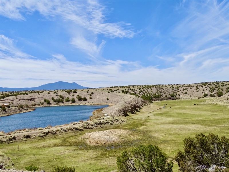 Catron County's Rito Springs Ranch : Quemado : Catron County : New Mexico