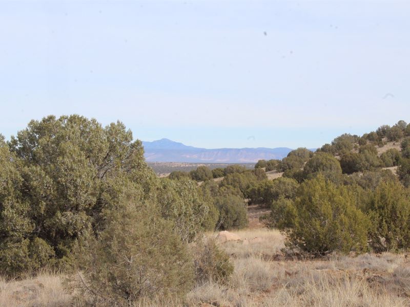 Beautiful Home Site Views Seasonal : Chino Valley : Yavapai County : Arizona