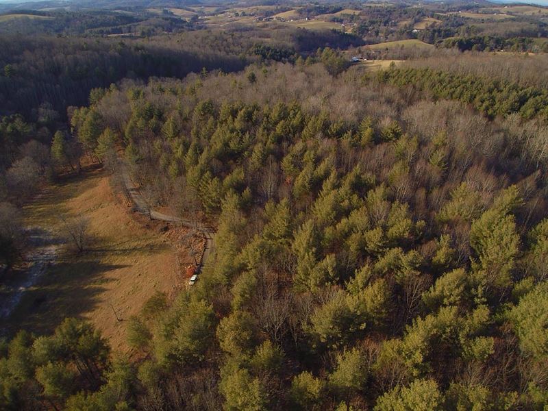 Wooded Tract Close to Galax, VA Land for Sale in Galax, Carroll