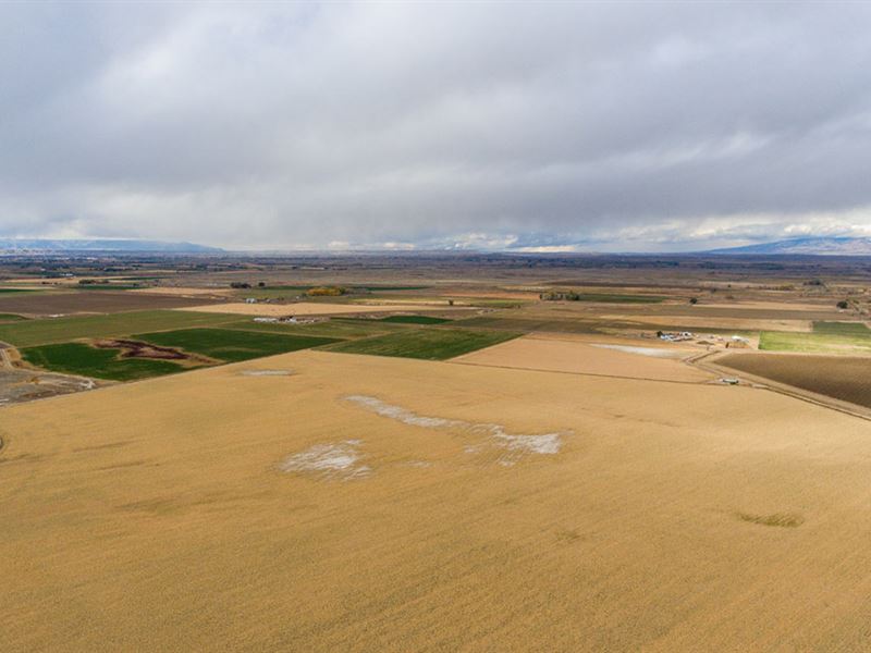 Big Irrigated Option 3 : Powell : Park County : Wyoming