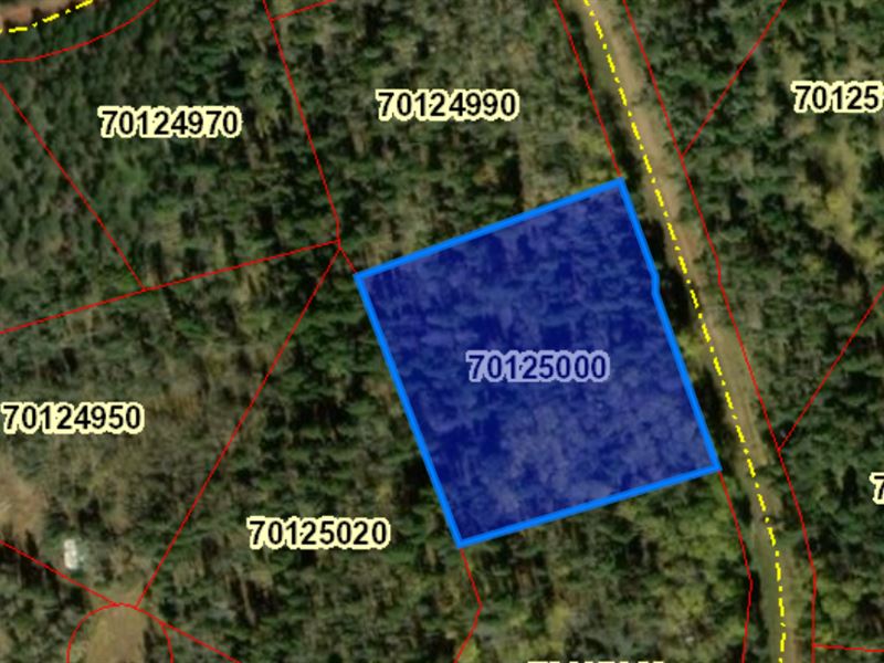 Summer & Spring Recreational Lot : Fort Garland : Costilla County : Colorado