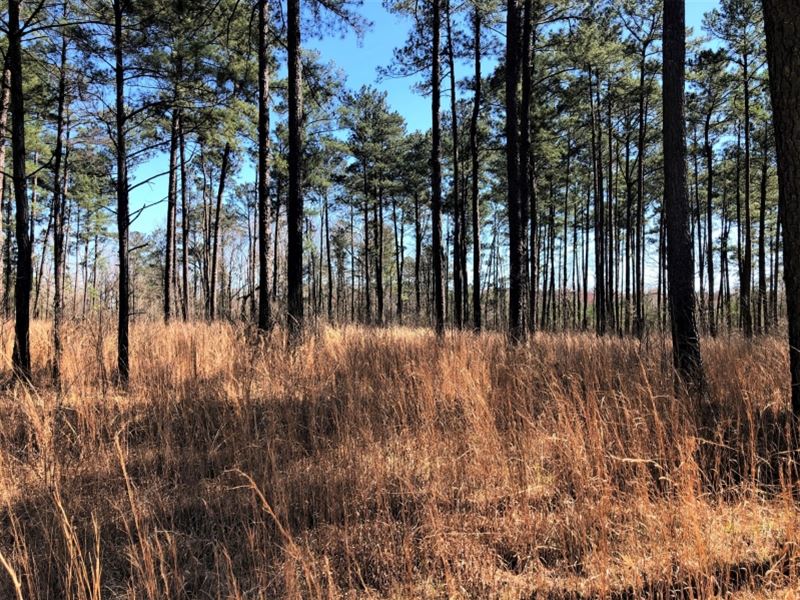 15.59 Acres in The Country : Gray : Jones County : Georgia