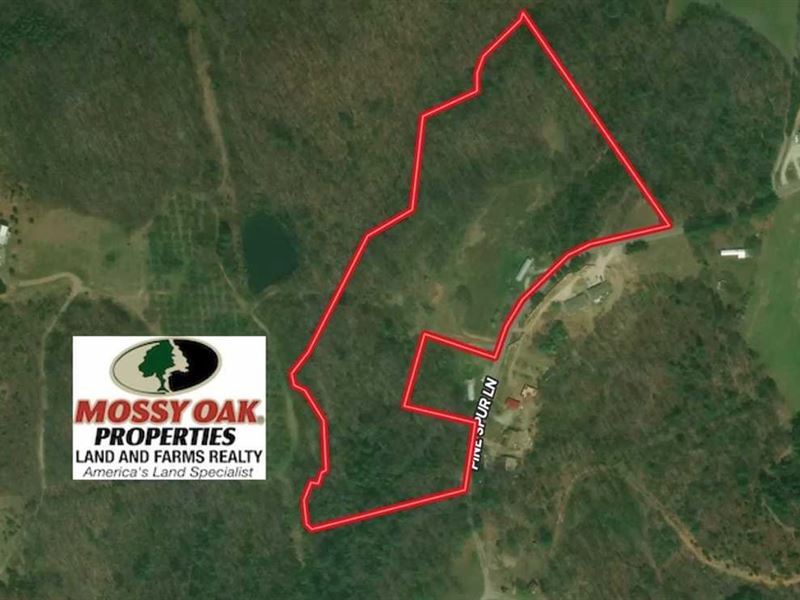 15.4 Acres of Hun : Ararat : Patrick County : Virginia