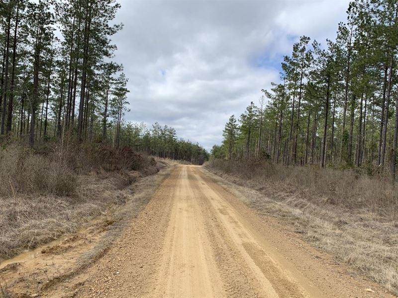 Joyner Road 80, Caldwell Parish, 80 : Grayson : Caldwell Parish : Louisiana