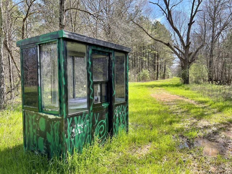 Marion Junction Black Belt Hunting : Marion Junction : Perry County : Alabama